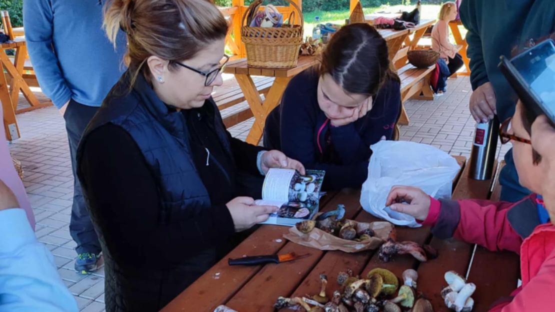 ed3207ad-b800-4391-bb5c-537480b85229