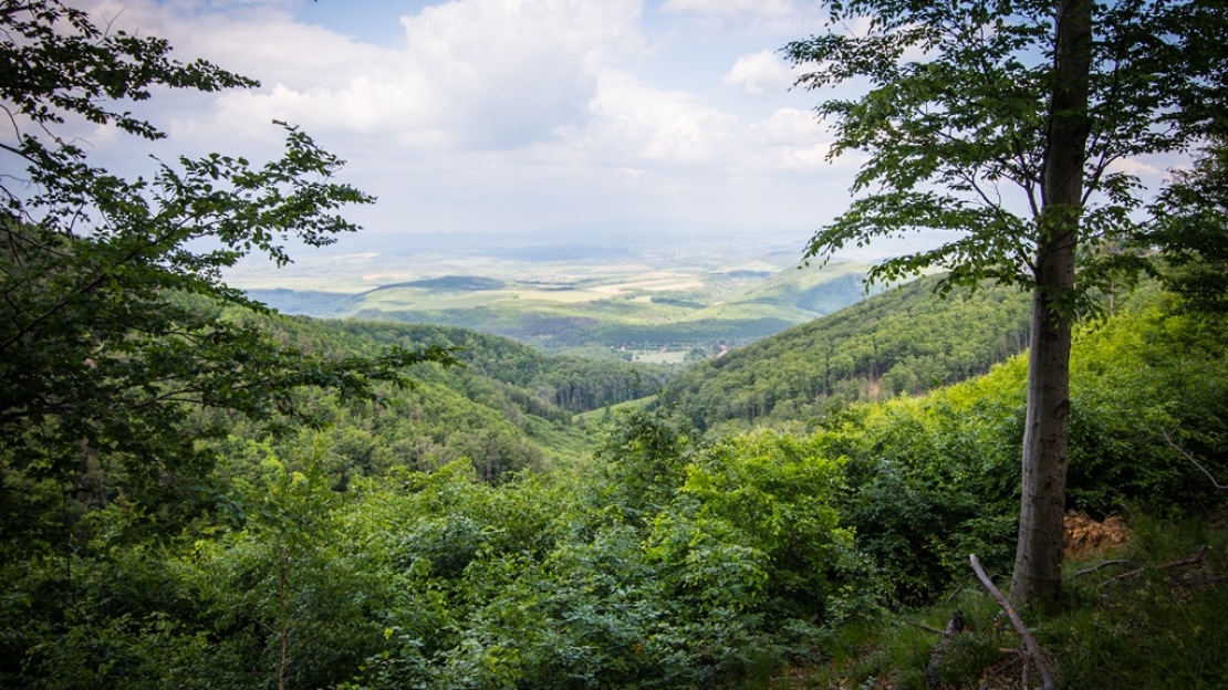 Mátraparkett terméke