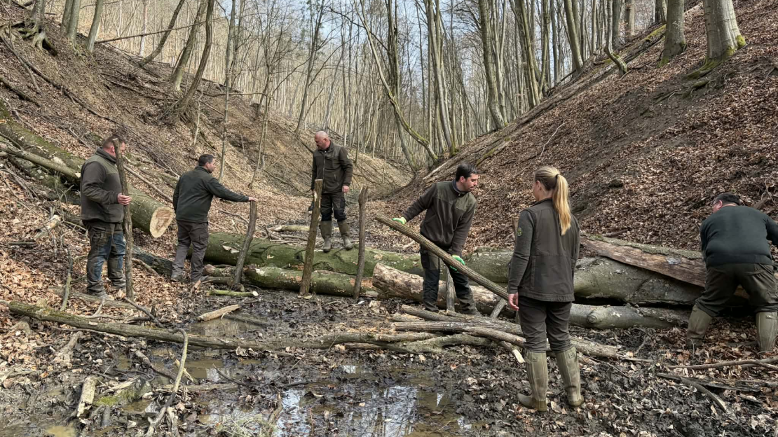 Messenger_creation_EA072EE4-EAD3-4AB1-A002-CB66C62A7359