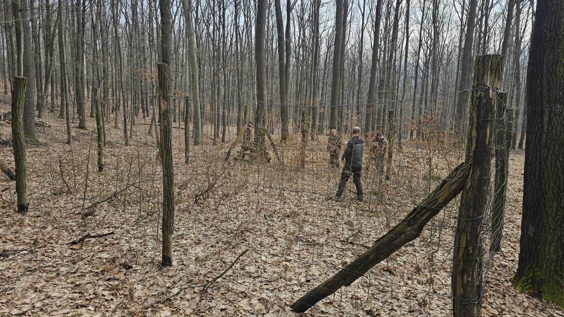 Pro Sylva erdő Parádsasvár