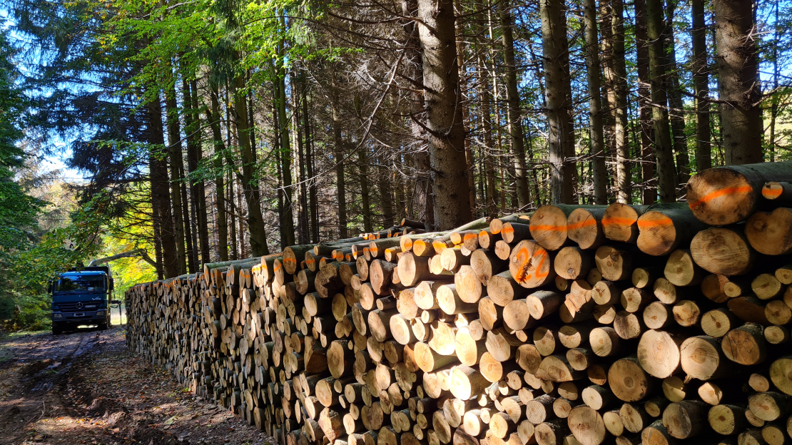 Tűzifa szállítás