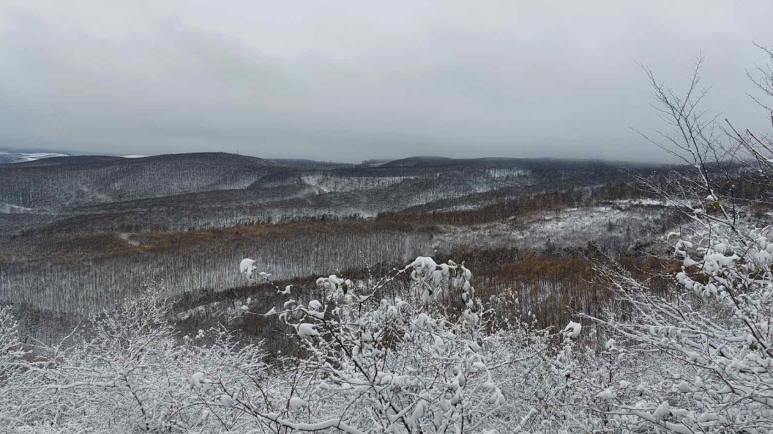 viber_kép_2024-11-22_12-29-00-238