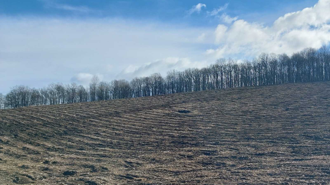 viber_kép_2026-02-24_09-58-10-879